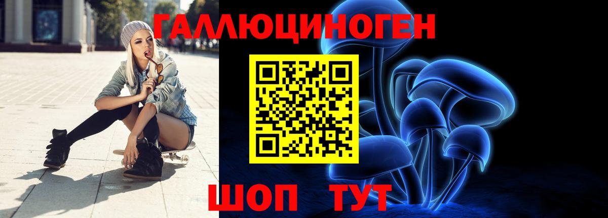 Галлюциногенные грибы Psilocybe Минусинск